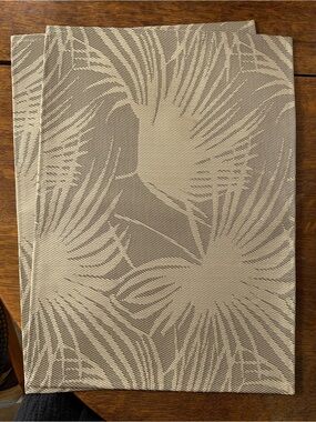Palm Leaf Woven Vinyl Placemat Set of 2